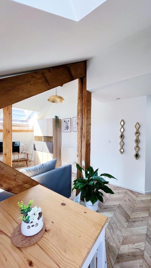 Les Appartements De Romain Et Julien Dijon Exterior photo